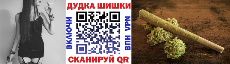 продажа наркотиков  гидра как зайти  Конопля сатива  Сенгилей 